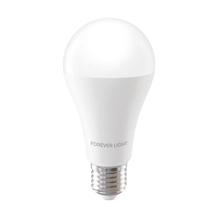Forever Light Bulb Λάμπα LED 17W για Ντουί E27 και Σχήμα A65 Θερμό Λευκό 2100lm